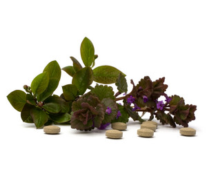 Similar image 2956852