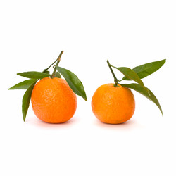 Similar image 2956858