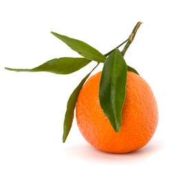 Similar image 2956861