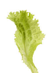 Similar image 2956862