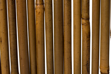 Similar image 2956864