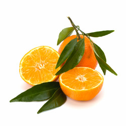 Similar image 2956872