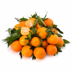 Similar image 2956884