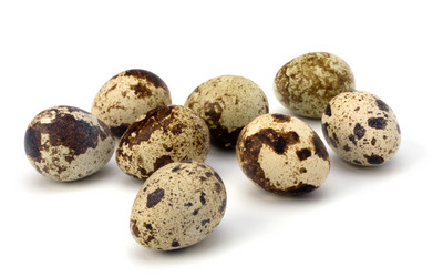 Similar image 2956888