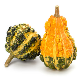 Similar image 2956899