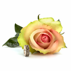 Similar image 2956911