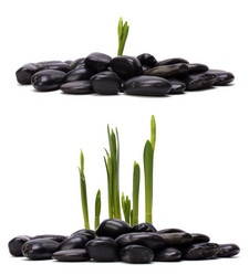 Similar image 2956913