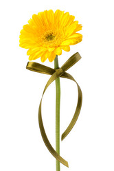 Similar image 2956921