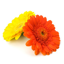 Similar image 2956925