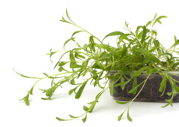 Similar image 2956931