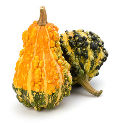 Similar image 2956963