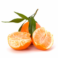 Similar image 2956966