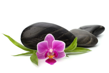 Similar image 2956971