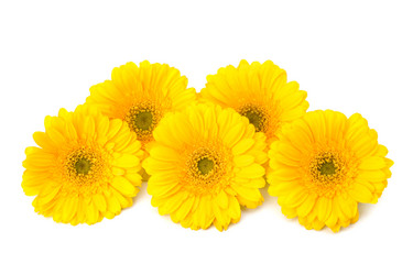 Similar image 2956981