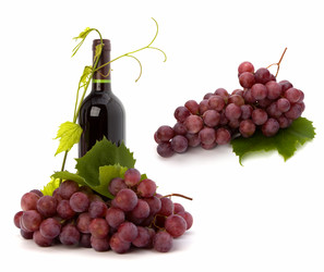 Similar image 2956992