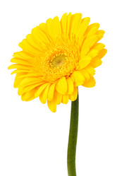 Similar image 2956995