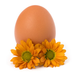 Similar image 2957004