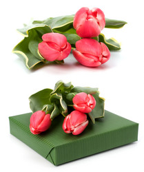 Similar image 2957006