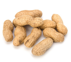 Similar image 2957036