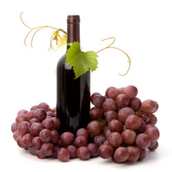 Similar image 2957038