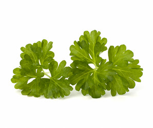 Similar image 2957074