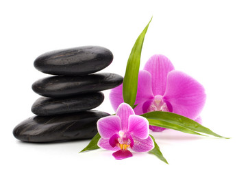 Similar image 2957084