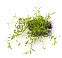 Similar image 2957085