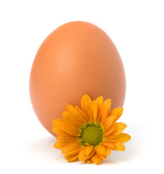 Similar image 2957112