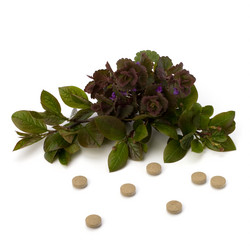 Similar image 2957117