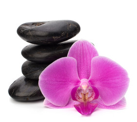 Similar image 2957132