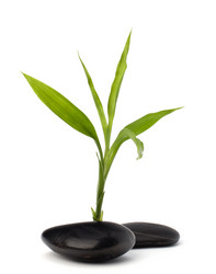 Similar image 2957141