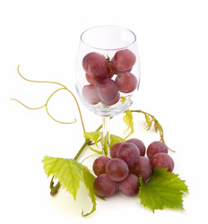 Similar image 2957190