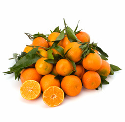 Similar image 2957218