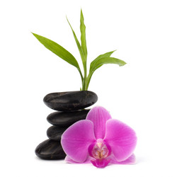 Similar image 2957226