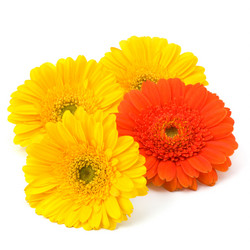 Similar image 2957272