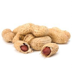 Similar image 2957277