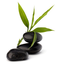 Similar image 2957279