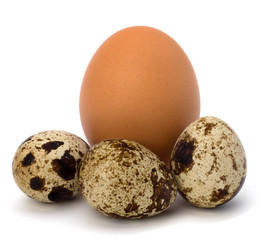 Similar image 2957288