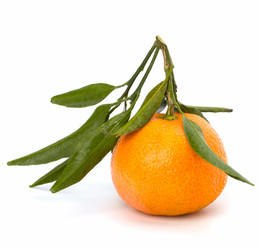 Similar image 2957290