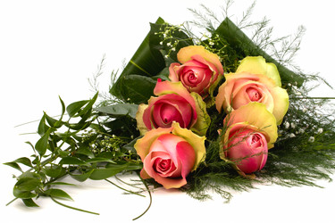 Similar image 2957295