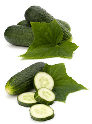 Similar image 2957299