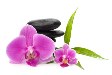 Similar image 2957310