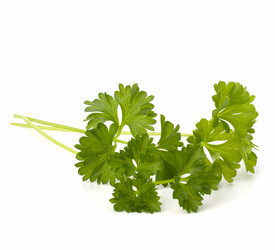 Similar image 2957318