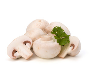 Similar image 2957328