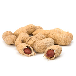 Similar image 2957339