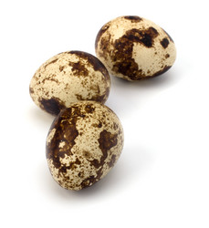 Similar image 2957359