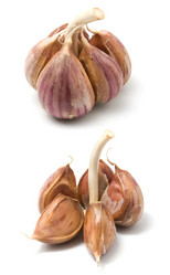 Similar image 2957380