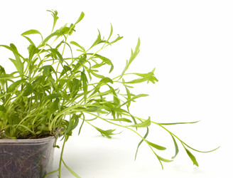 Similar image 2957404