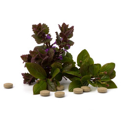 Similar image 2957405