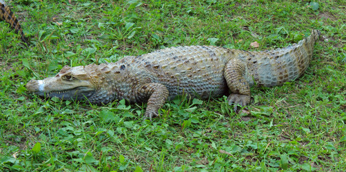 Similar image 2957450